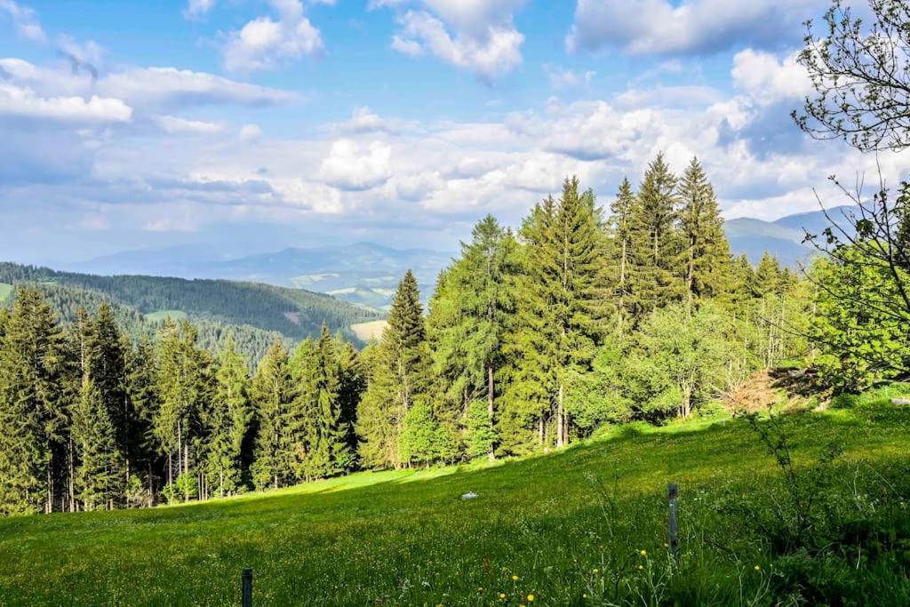 Příroda nedaleko apartmánu
