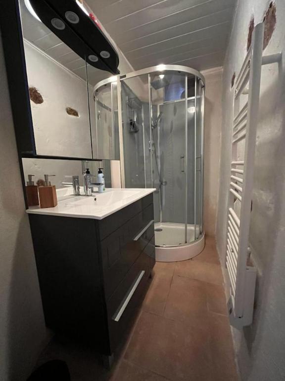 a bathroom with a shower and a sink and a toilet at Gîte les Pieds dans l&#39;eau bord de Sèvre, 10 min du Puy du Fo in Treize-Vents