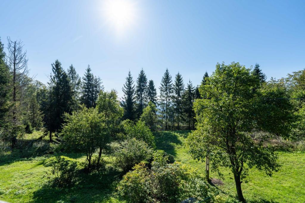 Príroda v okolí dovolenkového domu