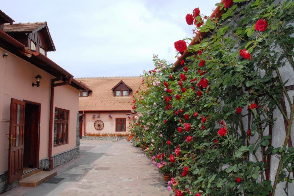 a row of red roses on a building with a street at Pension Ela in Sibiu