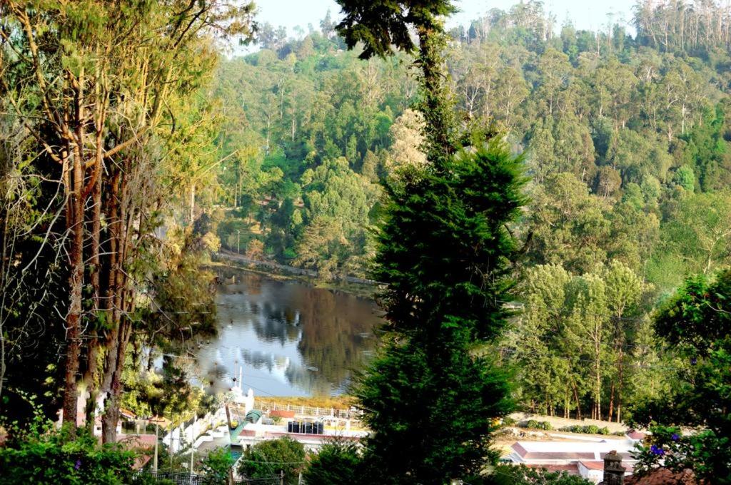 a view of a lake in the middle of a forest at Maruti Villa in Kodaikānāl