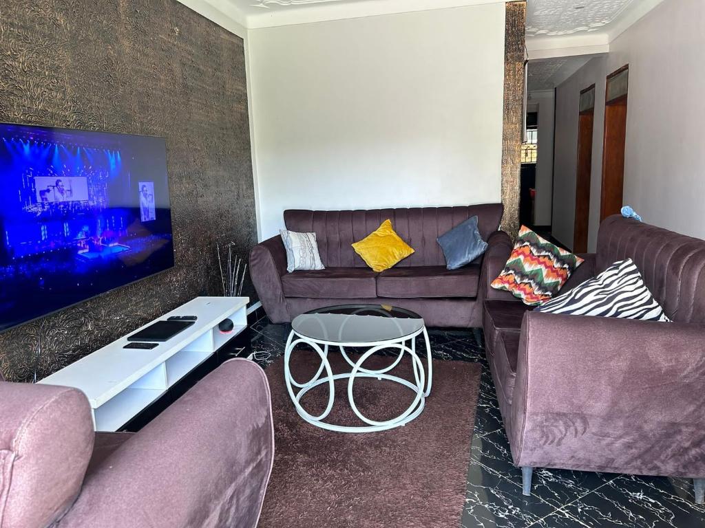 a living room with couches and a flat screen tv at Safari Lake view apartments, Muyenga in Kampala