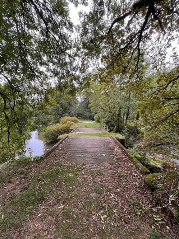 a path in the woods next to a river at Gîte les Pieds dans l&#39;eau bord de Sèvre, 10 min du Puy du Fo in Treize-Vents