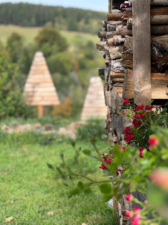 Zahrada ubytování Kleines Chalet im Erzgebirge mit Sauna und Kamin