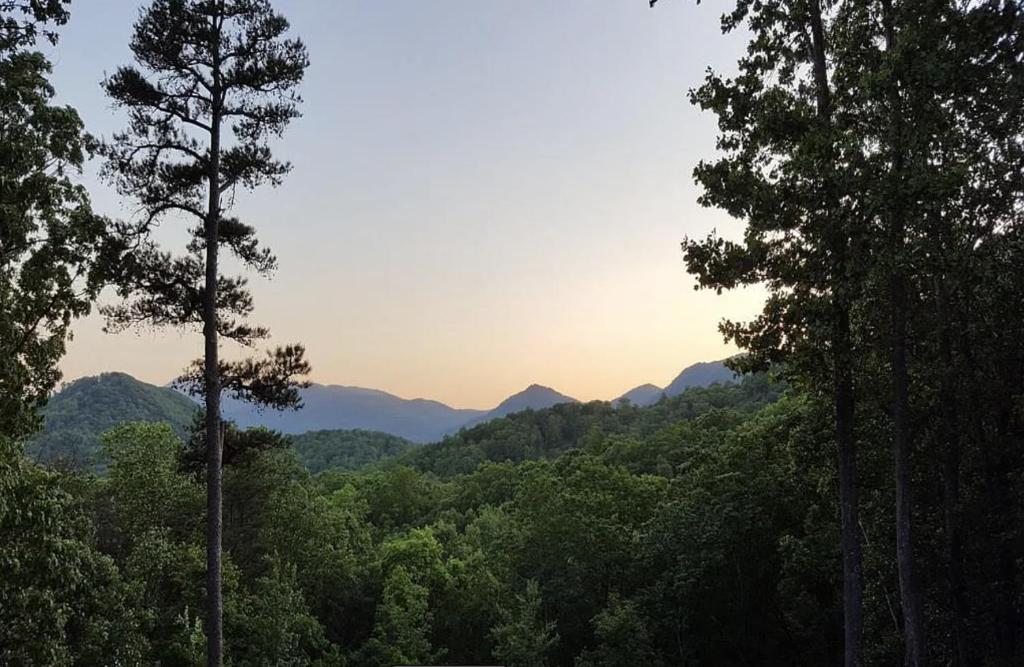 White Oak Vista A peaceful cabin with breathtaking views and under 20