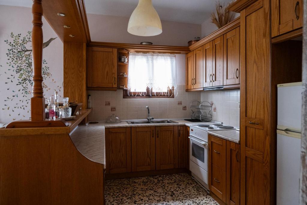 cocina con armarios de madera, fregadero y nevera en Άγρια Λούλουδα Κατοικία Ευτυχία, en Timfristós