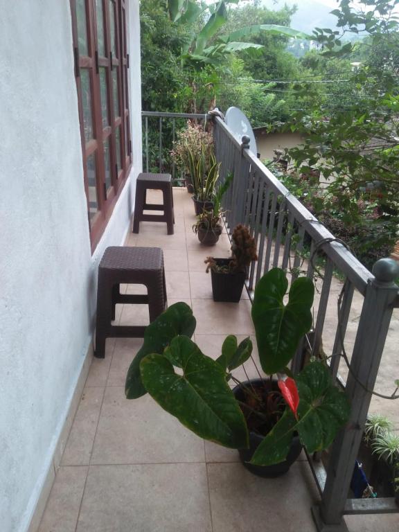 Balkón nebo terasa v ubytování The Jesmine Homestay