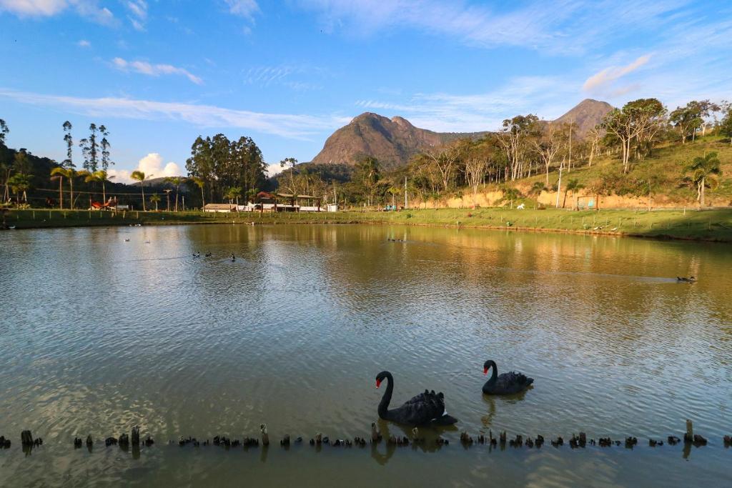 Art Green Teresópolis