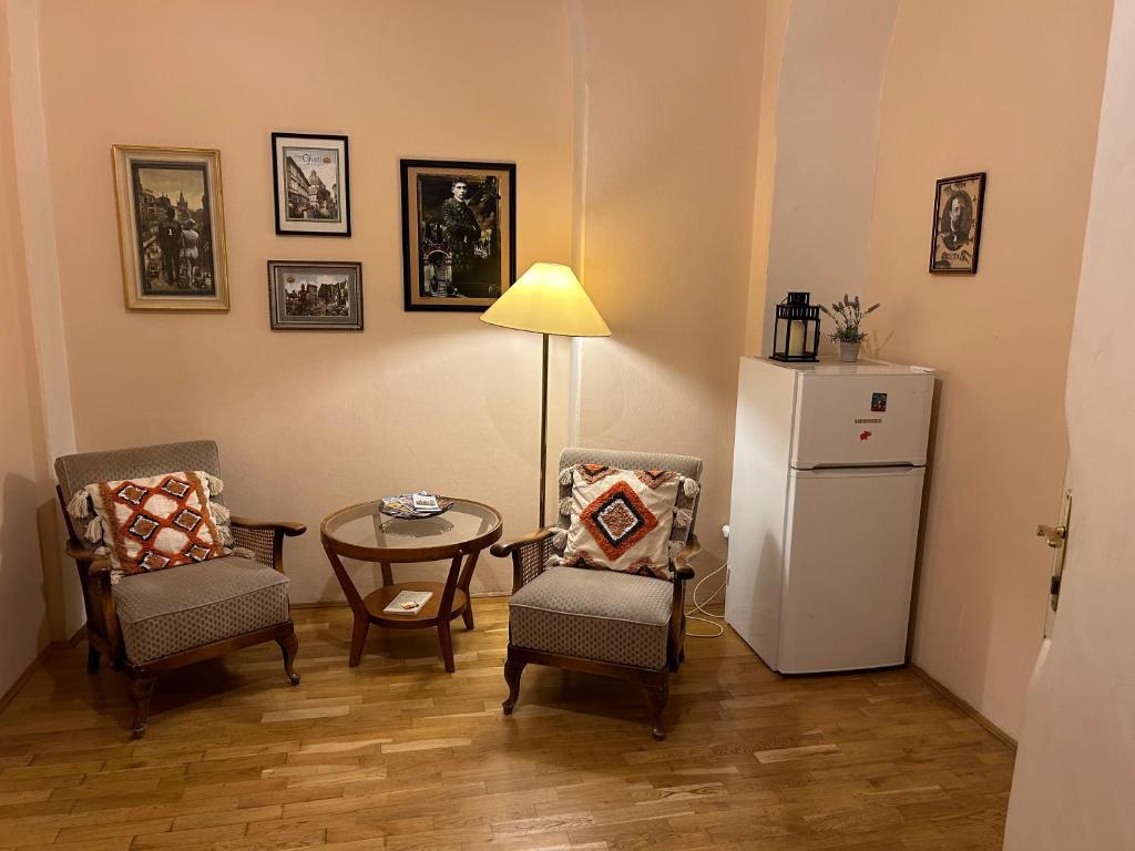Kuchyň nebo kuchyňský kout v ubytování Pension Karlova