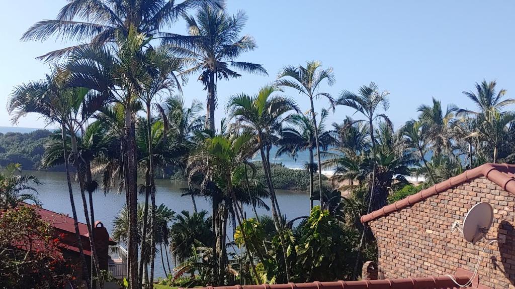 a view of a body of water with palm trees at The Lagoon Flat, 53 Nkwazi Drive in Zinkwazi Beach