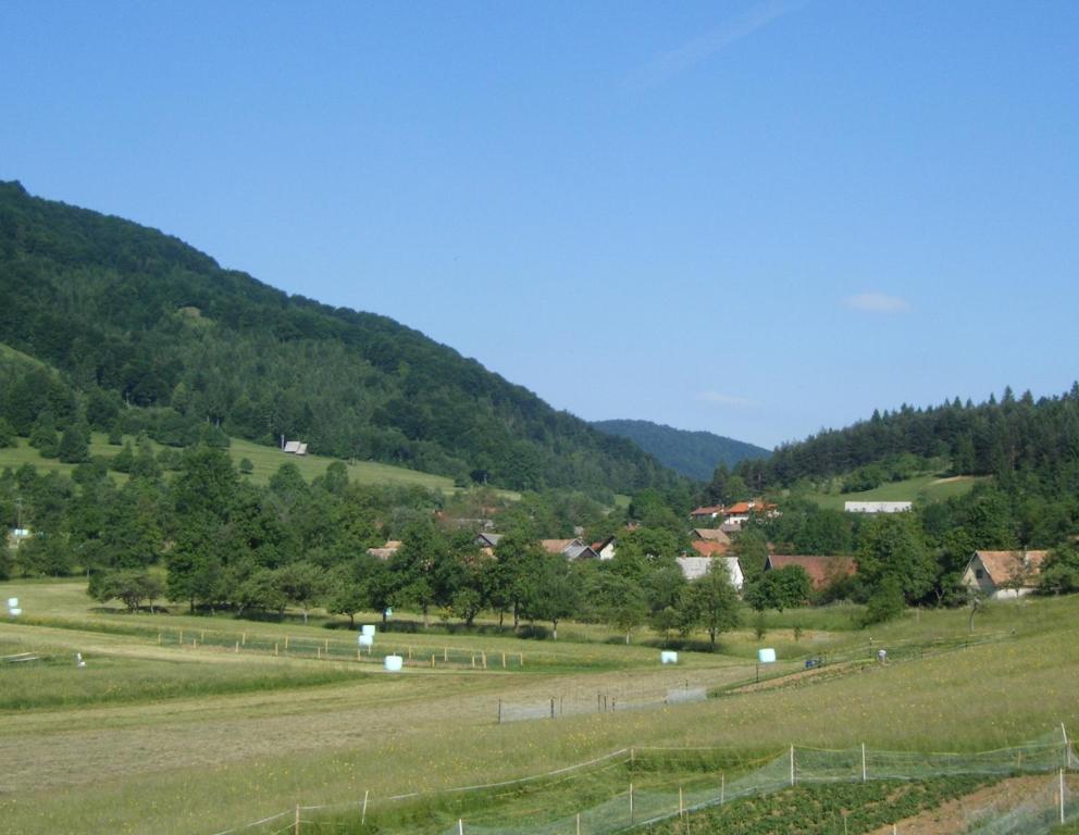 ein Grasfeld mit Bergen im Hintergrund in der Unterkunft Guest House Kmetija in Dane