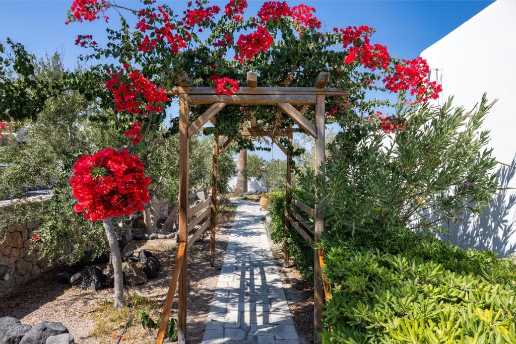 Zahrada ubytování Anema Boutique Hotel & Villas Santorini