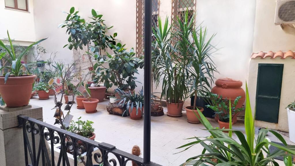 Ogród w obiekcie Loft Magna Grecia Reggio Calabria Centro Storico a 3 minuti a piedi dal mare