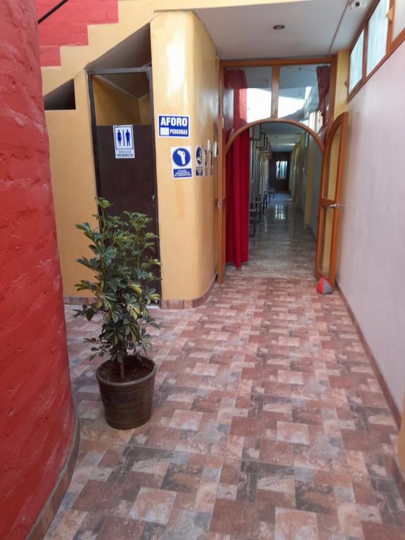 Fotografie z fotogalerie ubytování Nasca Trails B&B v destinaci Nazca
