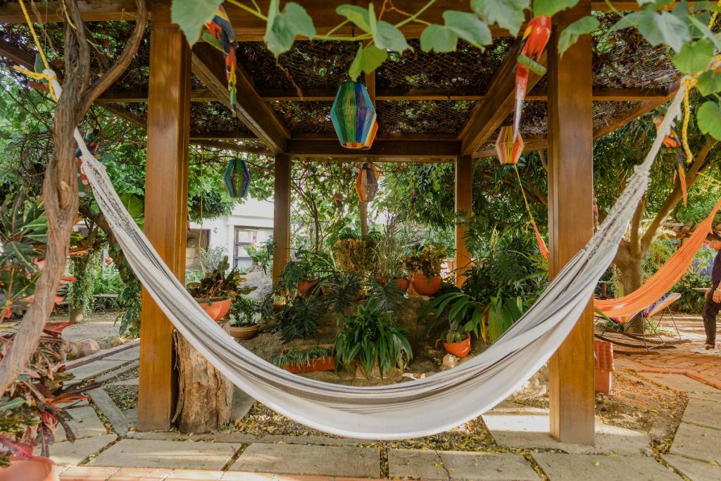 Zahrada ubytování Hotel Rancho Regis