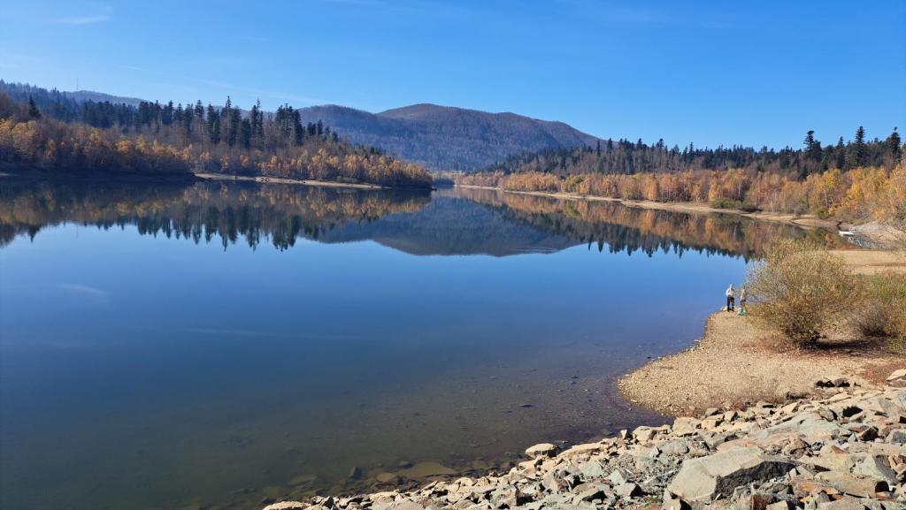 Příroda nedaleko apartmánu