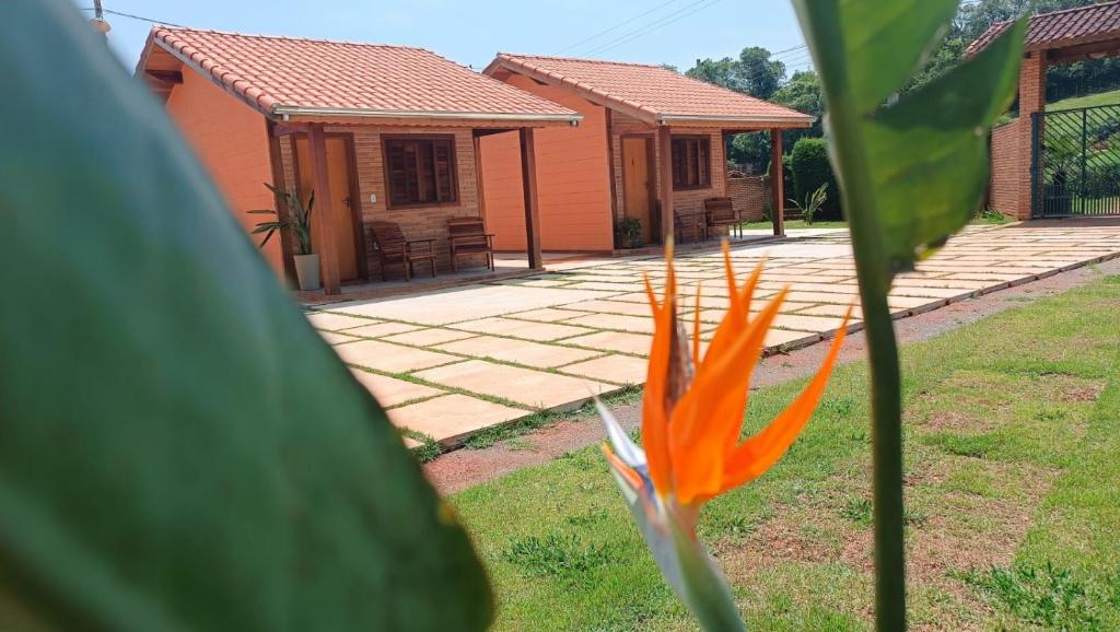 Um jardim no exterior de Pousada Estrelícia