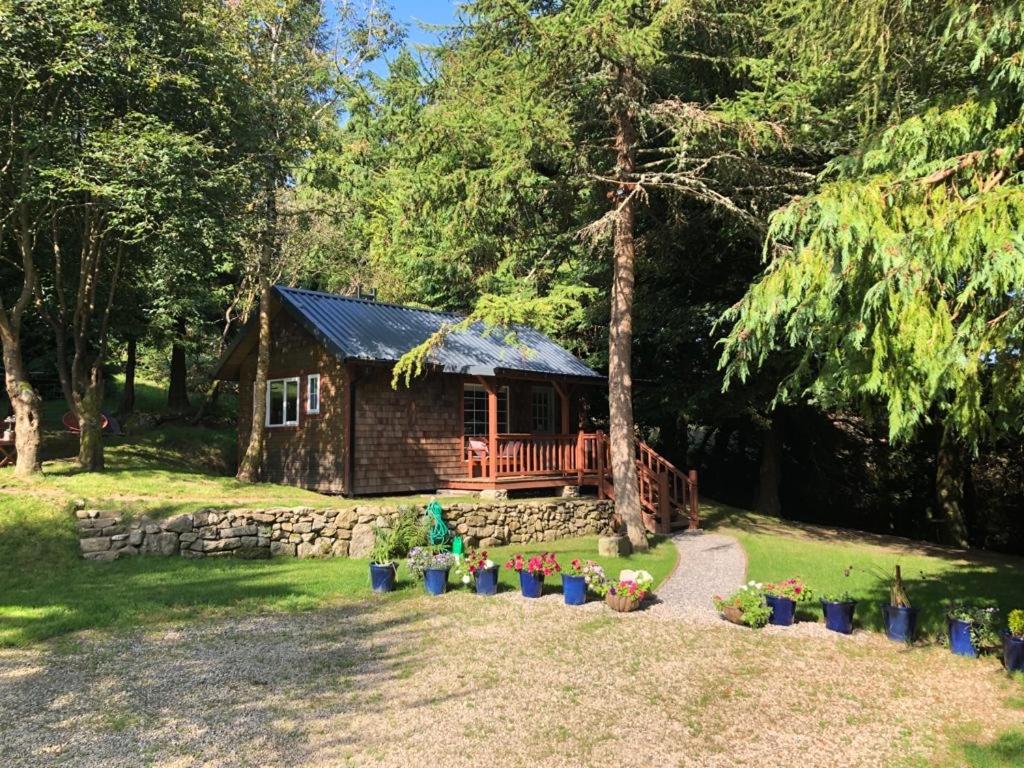 una cabaña de madera con plantas delante en Willow Lodge en Dublín