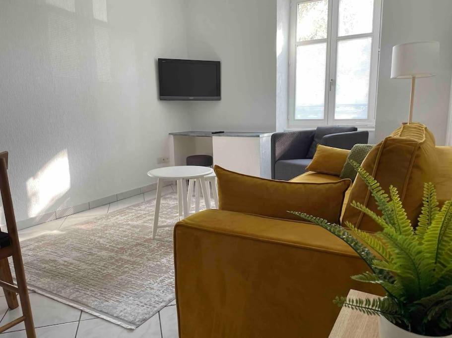 un salon avec un canapé et une table dans l'établissement Cocooning, à Colmar