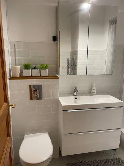 a white bathroom with a toilet and a sink at Cocooning in Colmar