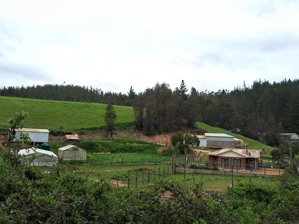 een boerderij met een huis op een heuvel bij Casa de Campo a pasos del Estéreo in Pichilemu