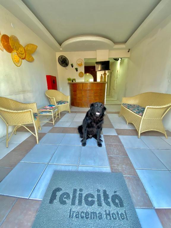 un cane nero seduto sul pavimento in una stanza di Felicità Praia Hotel a Fortaleza