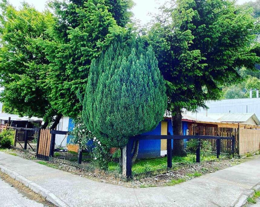 a large tree in front of a fence at Linda Casa en Carretera Austral in La Junta