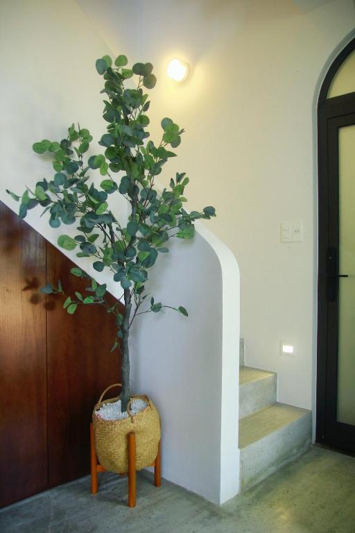 Boom Casa Homestay - Room King Con Vista De Jardín