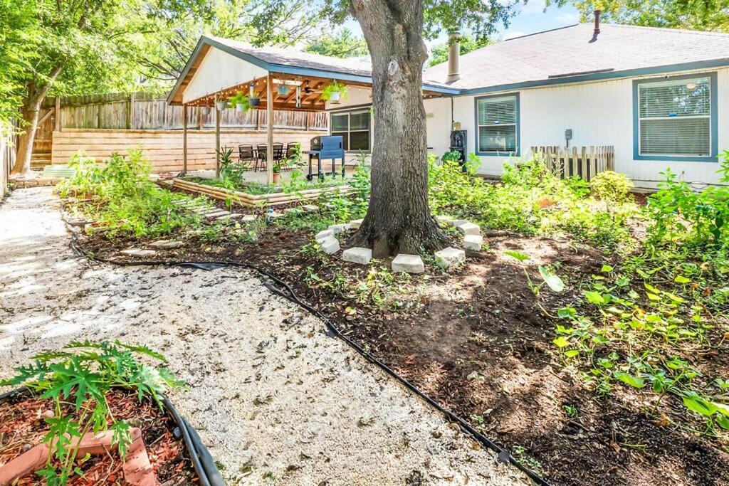a yard with a tree in front of a house at Luxury Retreat - Pool - Game Lounge - BBQ & Patio in San Antonio