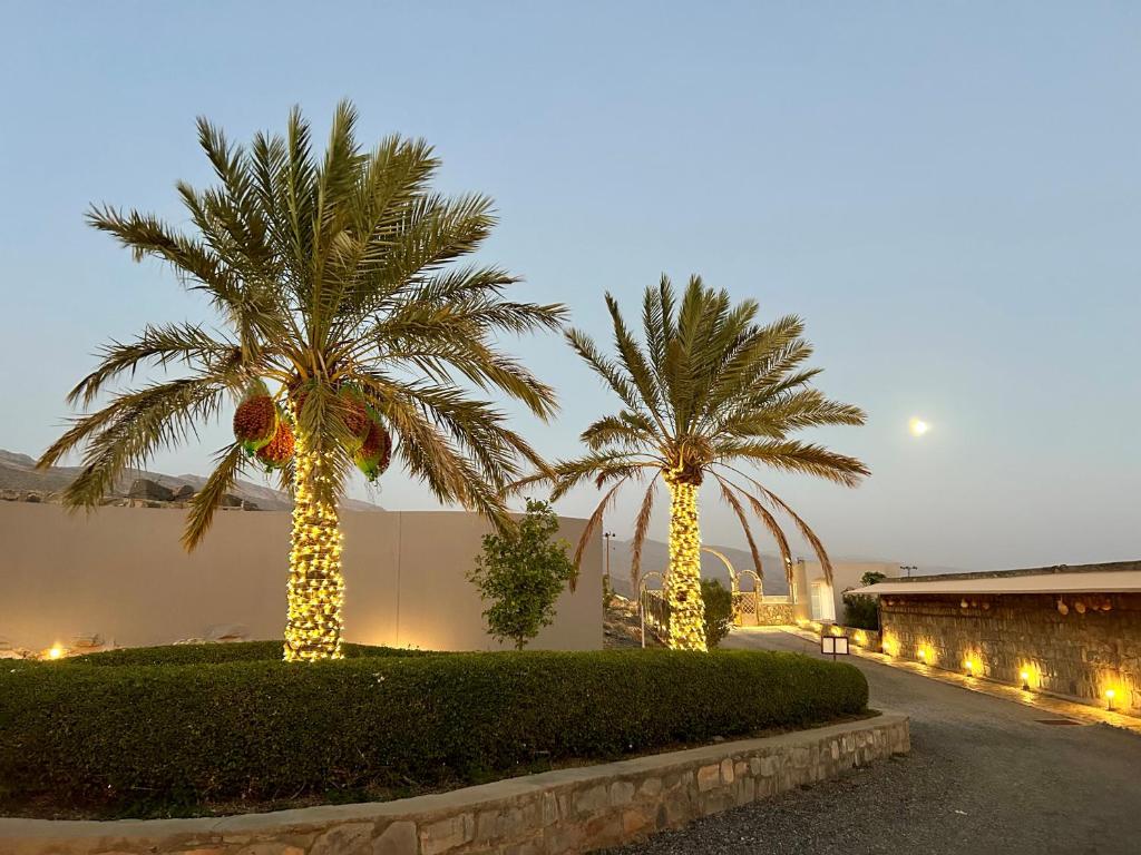 Quelques palmiers avec des lumières sur eux dans l'établissement The View, à Al Hamra