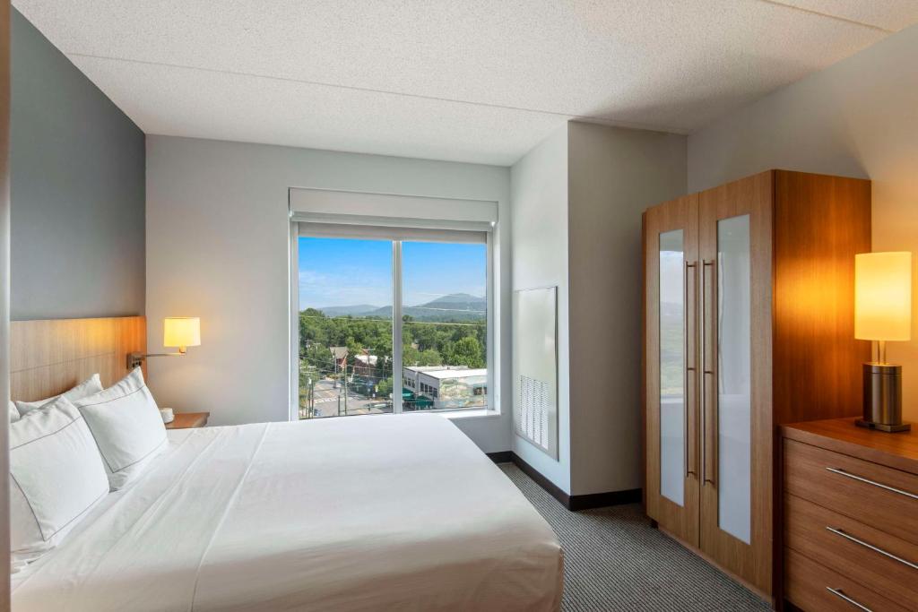 DoubleTree by Hilton Asheville Downtown - Chambre Roi Avec Vue Sur La Montagne