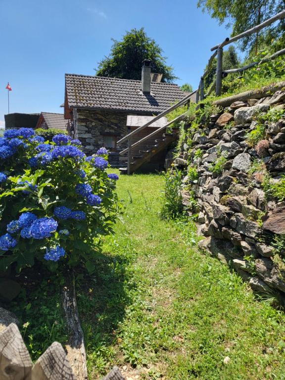 Zahrada ubytování Casa Poiana