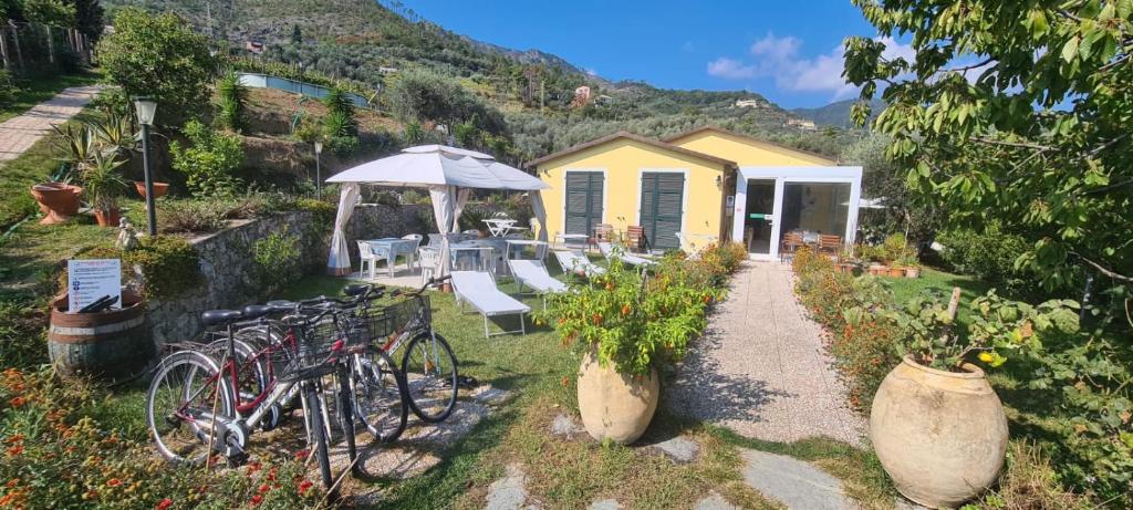 Agriturismo La Collina Verde