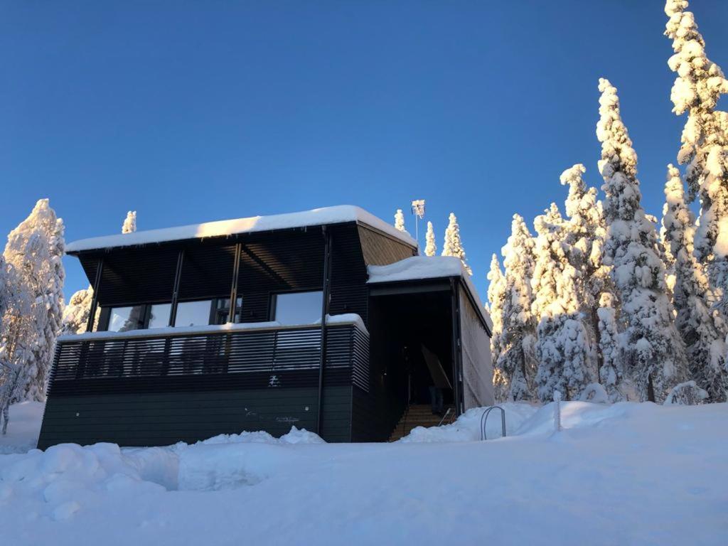 ein Haus im Schnee mit schneebedeckten Bäumen in der Unterkunft Villa Sudenkolo with outdoor jacuzzi and log sauna in Syöte