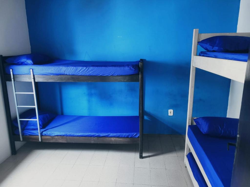 - 2 lits superposés dans un dortoir aux murs bleus dans l'établissement Eaí Hostel, à Cabo Frio