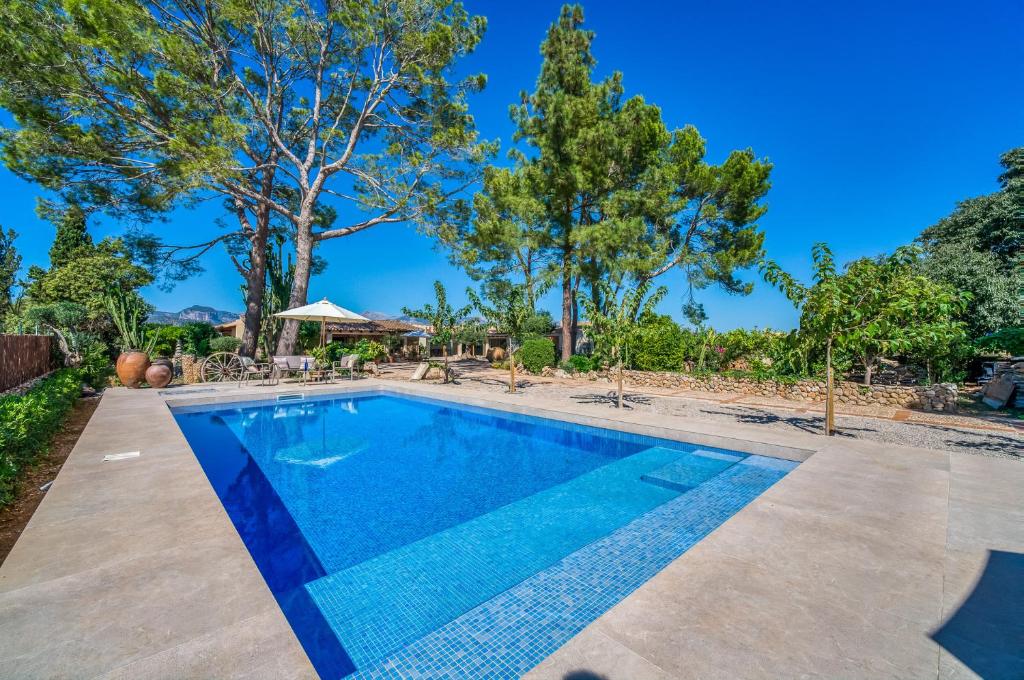 une image d'une piscine avec des arbres en arrière-plan dans l'établissement Ideal Property Mallorca - Can Davero, à Binissalem