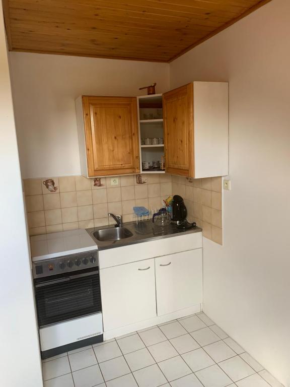 Kuchyň nebo kuchyňský kout v ubytování Apartmán pod Boubínem