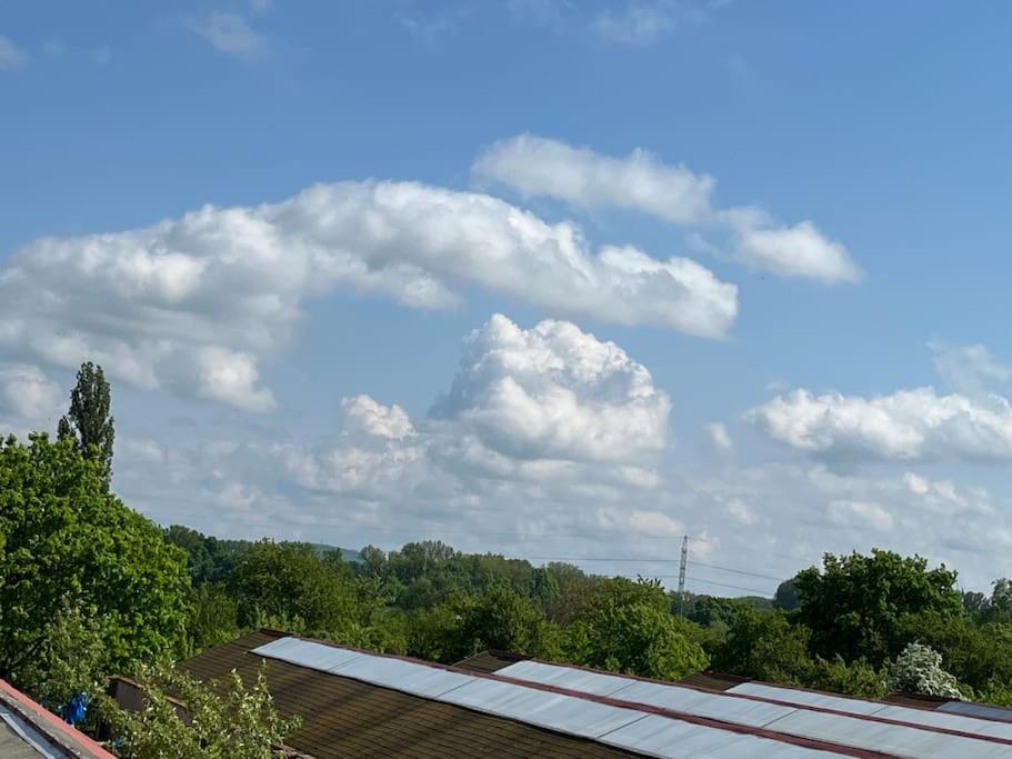 Příroda nedaleko apartmánu