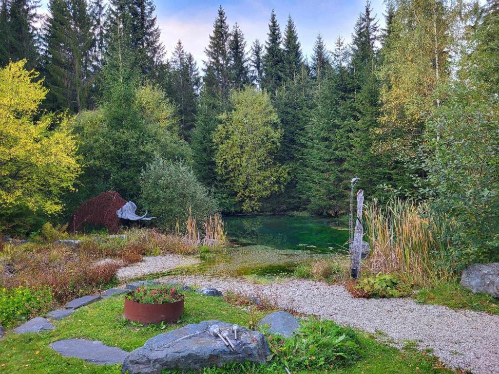 Příroda nedaleko apartmánu