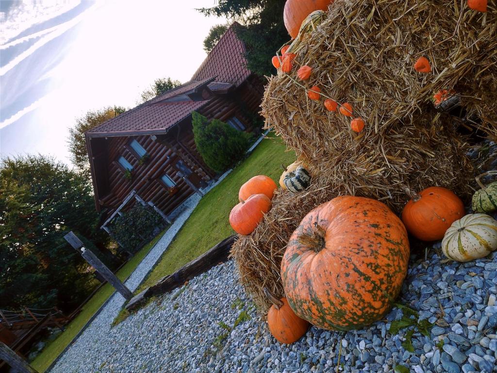 Fotografie z fotogalerie ubytování Casa de sub Sipote v destinaci Porumbacu de Sus