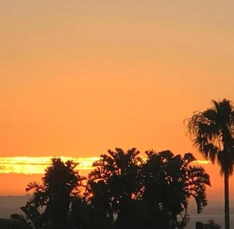 an orange sunset with palm trees in the foreground at Oceanview in East London