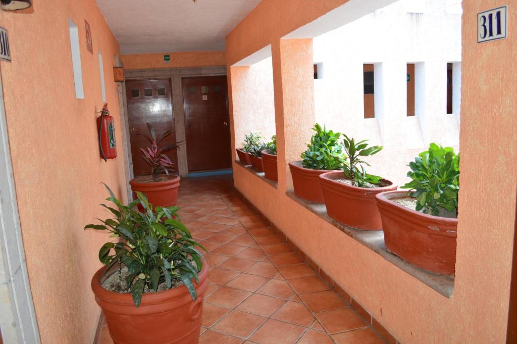 Fotografie z fotogalerie ubytování Hotel La Rienda Mision Tequillan v destinaci Tequila