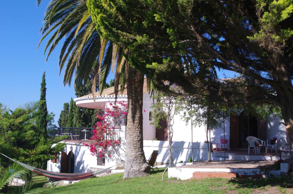 een huis met een palmboom en een hangmat bij House in Andalucia, SPAIN in Salobreña