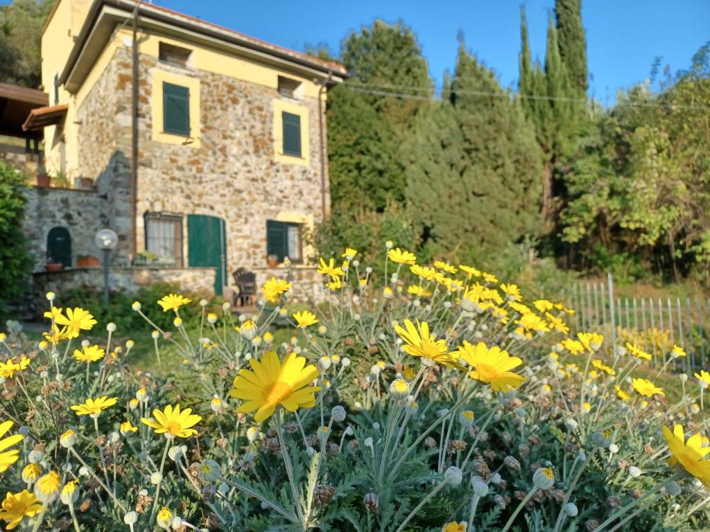 a field of yellow flowers in front of a house at Il Fontolo in Ponzano Superiore