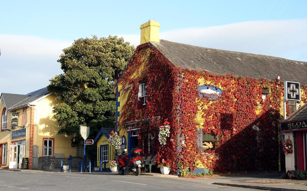 a building covered in ivy on the side of a street at Kingfisher Lodge & Pub in Castleconnell