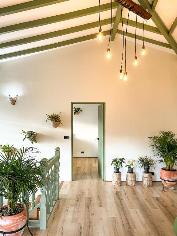 an empty room with potted plants and a hallway at Hotel Casa Dulces del Jardín in Jardin