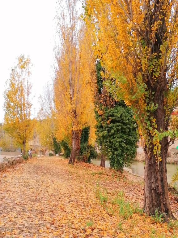Zahrada ubytování ATALAYA DEL RÍO