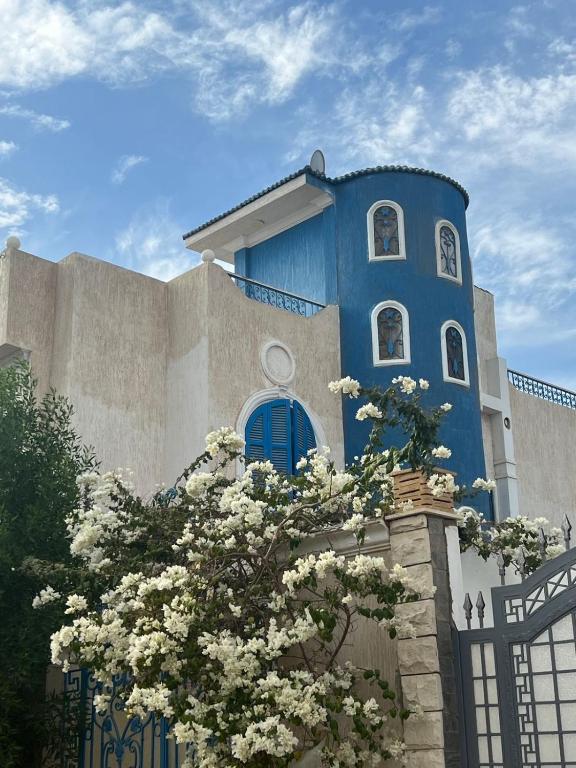een blauw gebouw met een boom ervoor bij Oocka stay villas in Dahab