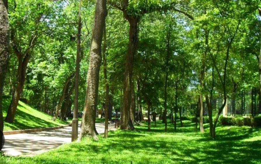 Zahrada ubytování Da Tree Homestay