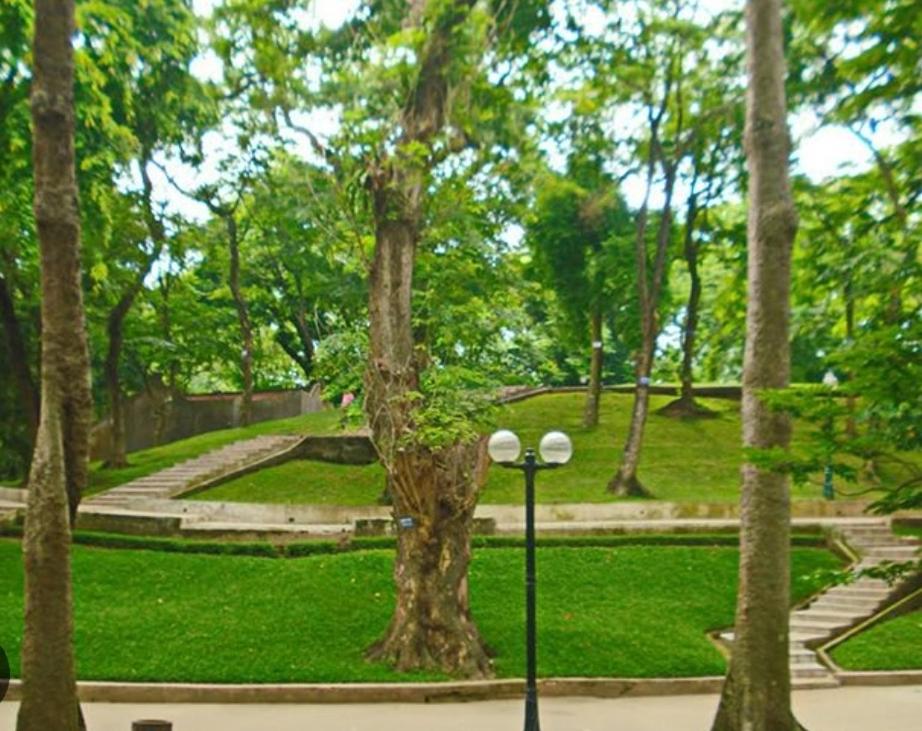 Zahrada ubytování Da Tree Homestay